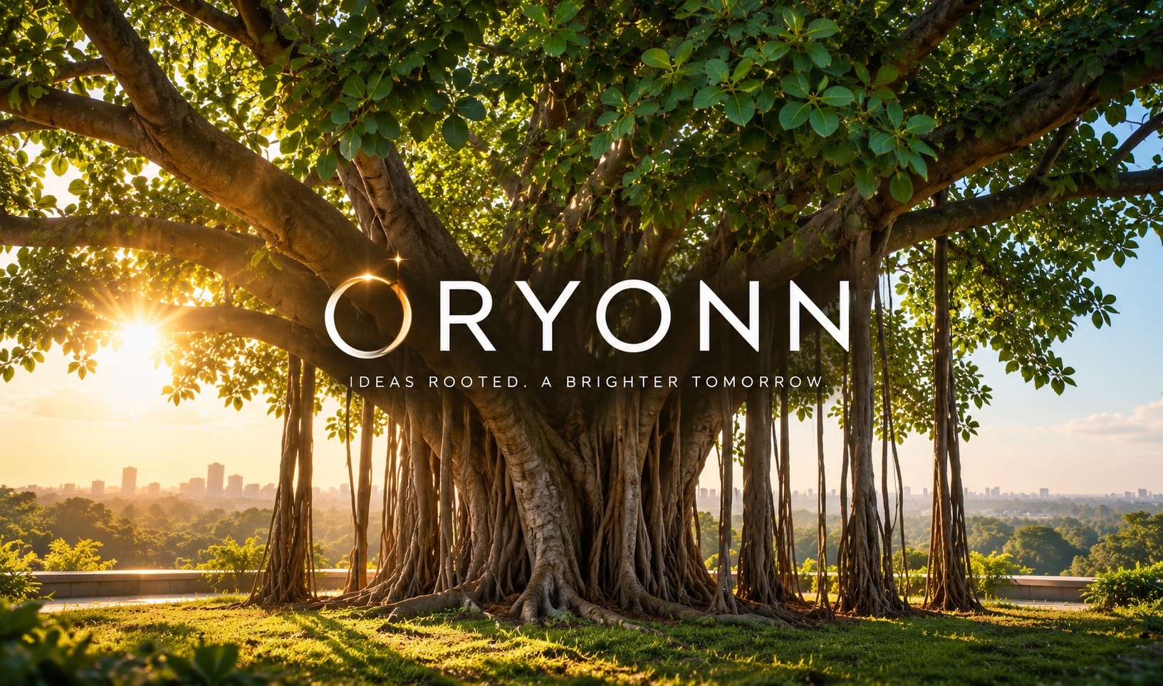 Oryonn: ideas rooted, a brighter tomorrow. An ancient banyan tree at sunrise